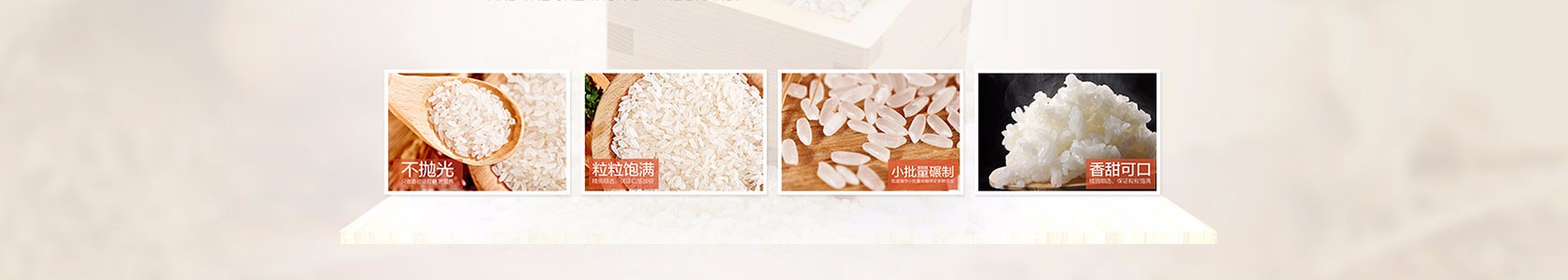 长春市智汇网络有限公司